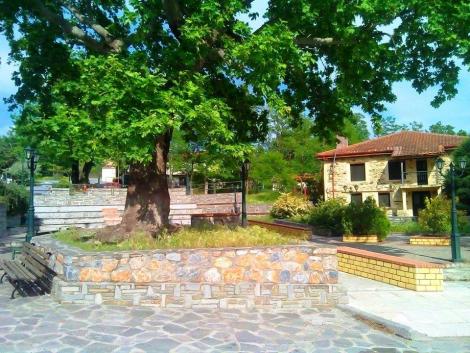 Γαρέφι-4-470x353